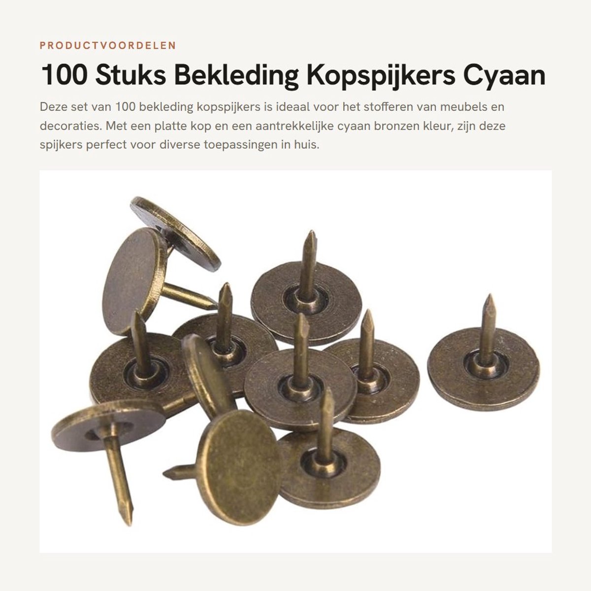 Dailygoods- Kopspijkers 100 Stuks - Bekledingsspijkers - Antieke Stijl - Duurzaam Ijzer - Platte Kop - Decoratie Accessoires - Bekledingsnagels