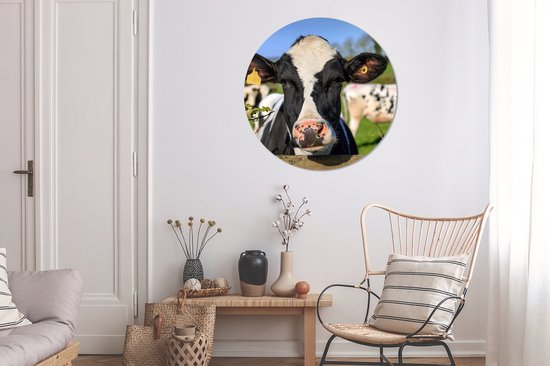 WallCircle - Cercle Mural - Cercle Mural - Vache - Clôture - Herbe - Animaux - Aluminium - Dibond - 90x90 cm - Intérieur et Extérieur