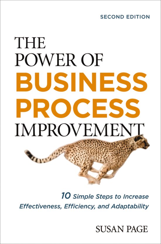 The Power of Business Process Improvement - cover