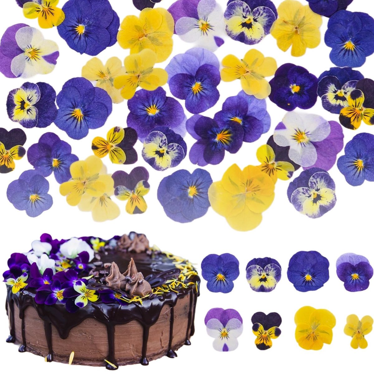 Dailygoods- Gedroogde Bloemen 40 Stuk - Natuurlijk - Eetbare Bloemen - Decoreren Taarttoppers - Mix Driekleurige Viooltjes - Handgeplukt - Bloemdecoratie