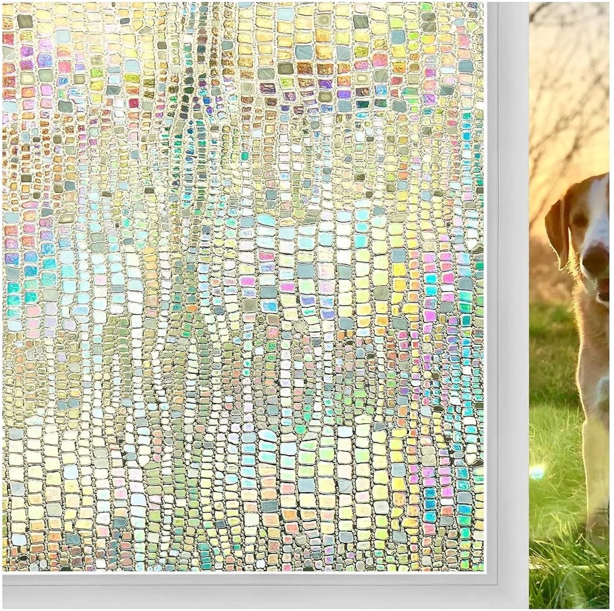 Privacy raamfolie - Zelfklevend - 55 x 200 cm - Regenboog design