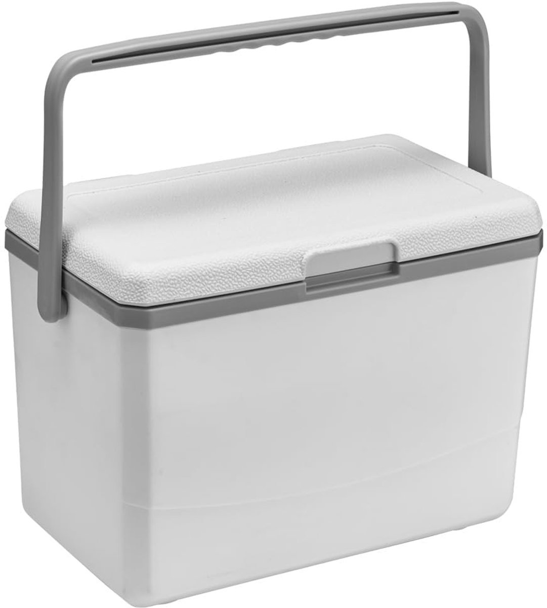 Draagbare Lekvrije Geïsoleerde Koelbox - 3L voor Camping en Picknick
