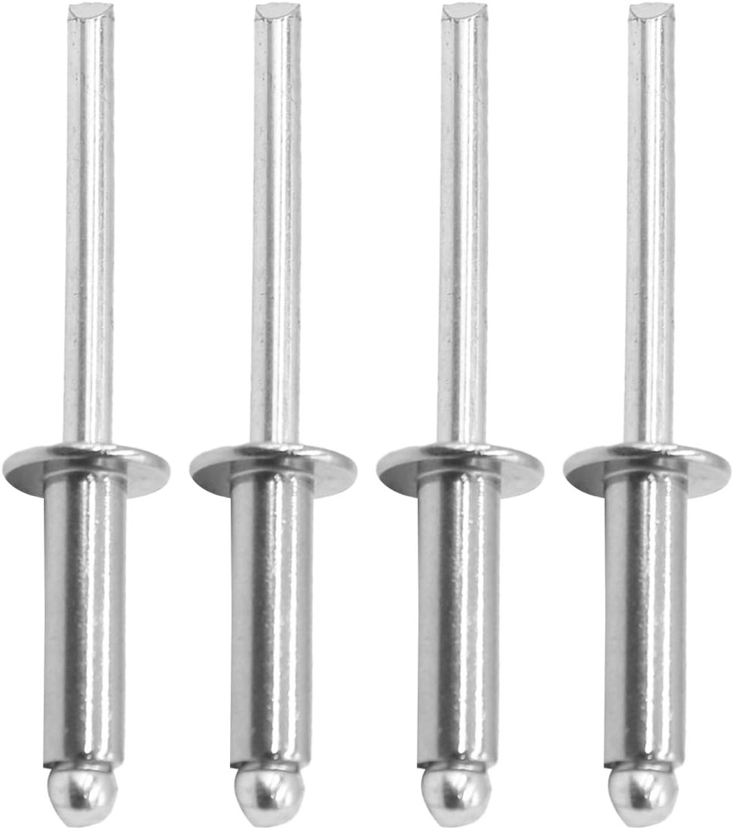 Roestvrijstalen Blindklinknagels - 200 Stuks, 4,8 x 16 mm