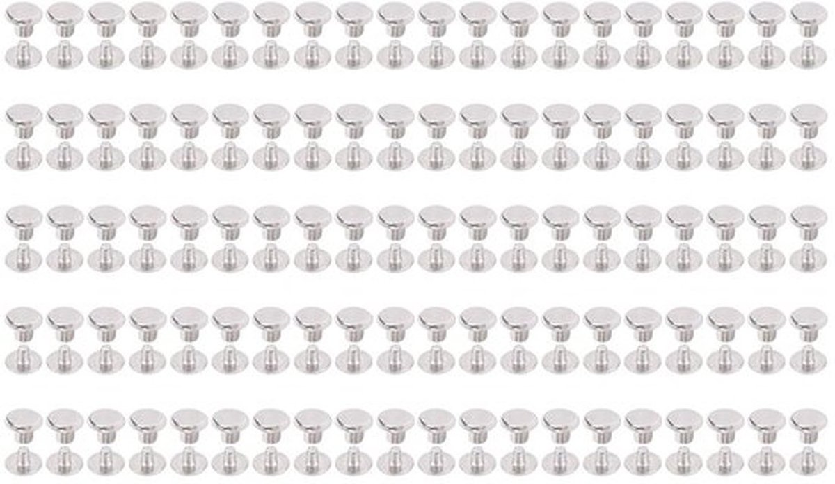 100 Sets M2.5 Rivet Set met Platte Ronde Kop - Assortiment Reparatierivets voor Chicago Binding en Bevestigingselementen - Ideaal voor Klussen en DIY Projecten