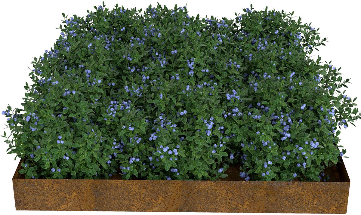Froadp 40 meter gazonrandafscheiding, 15 cm hoog, bloembedafscheiding, verroest effect, flexibele bloembedafscheiding, verroest metaal, gazonrandafscheiding, metaal, geschikt voor bloembedden en paden, eenvoudige montage – recht model