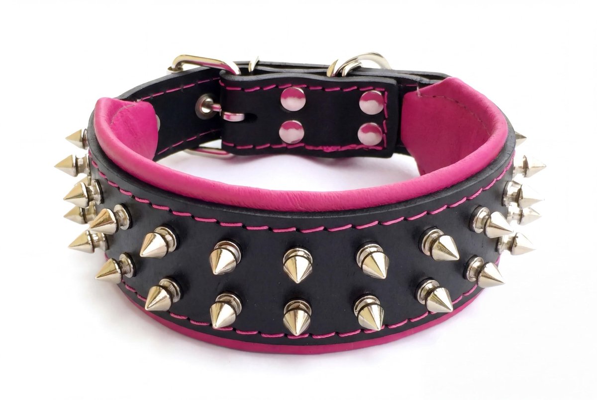 Solidchoice - Hondenhalsband van Leer met Uniek Ontwerp voor Kleine en Middelgrote Rassen