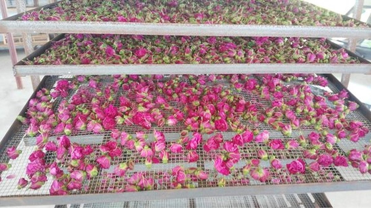 Gedroogde Bloemen Grote Verpakking - Natuurlijke Rode Rozenblaadjes - Aromatische Thee - Romantisch Cadeau - Gezonde Drank - 225 g