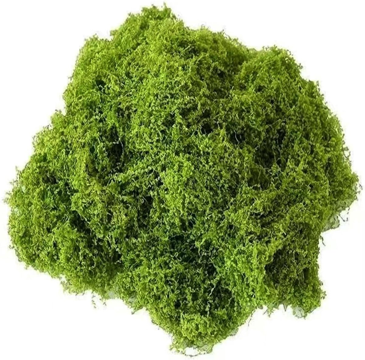 Kunstmos 50 g - Donkergroen - Stabiliseerd - Perfect voor DIY decoratie - ShopVlot