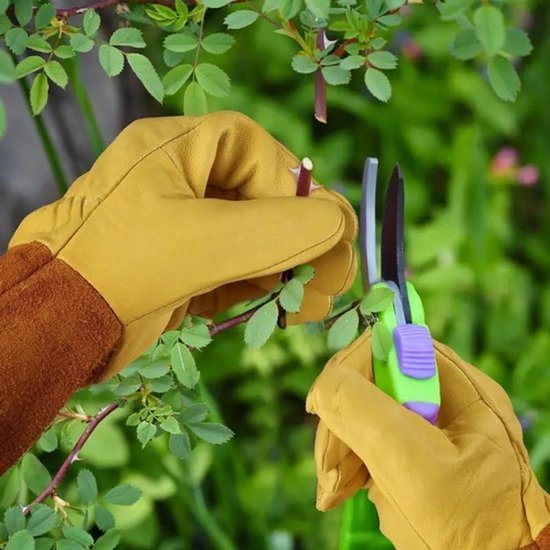Gedetailleerde opname van handen in gele tuinhandschoenen die een takje met schaar snoeien.