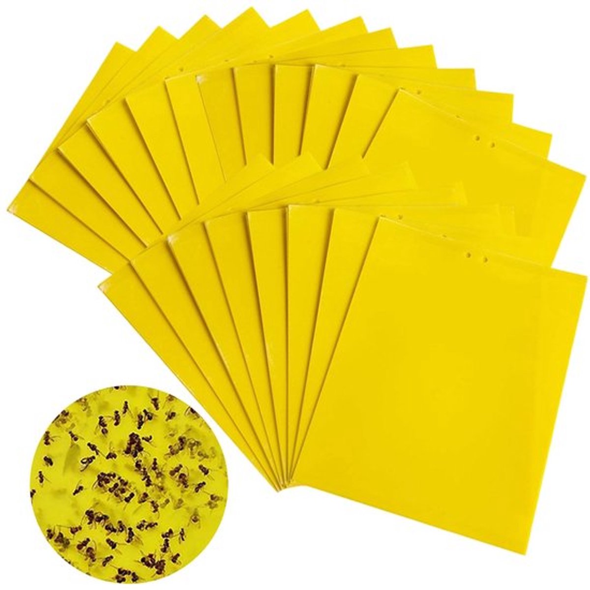 Vliegenval 20 Stuks - Gele Kleverige Vliegenvallen - Rouwmuggen/Bladluizen - Effectieve Insectenvanger - 20 x 15 cm - Eenvoudig Aanbrengen - Plantenval