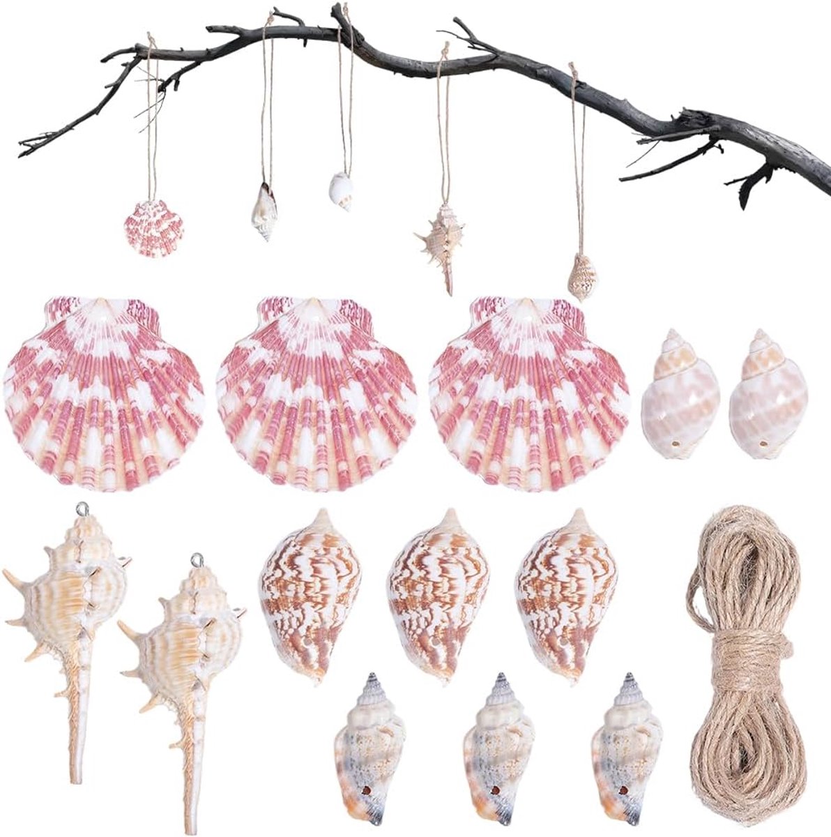 Schelpsieraden hangende decoratie - 20 stuks in 5 stijlen - natuurlijke schelpen met 5 m touw - voor zomerdecoratie - ShopVlot