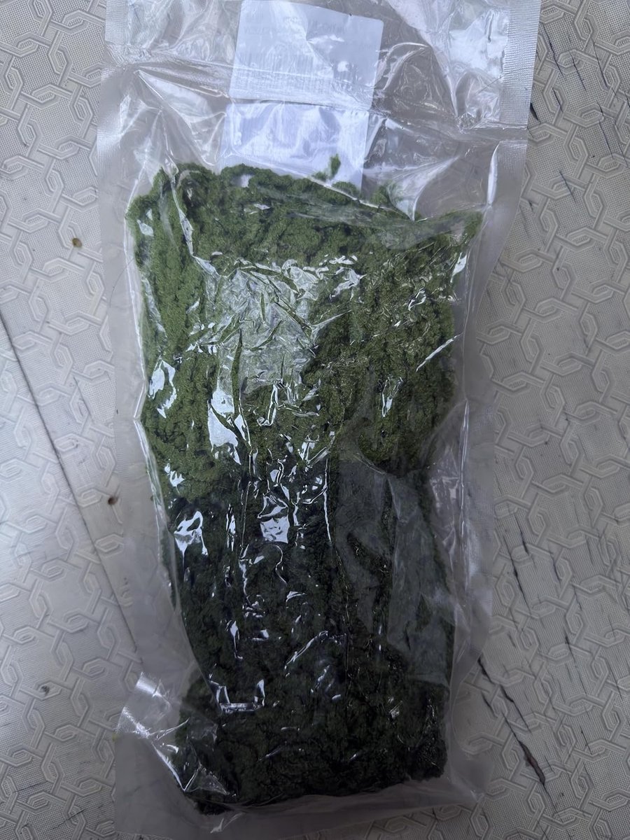 60pcs artificially shaped moss vines - ShopVlot