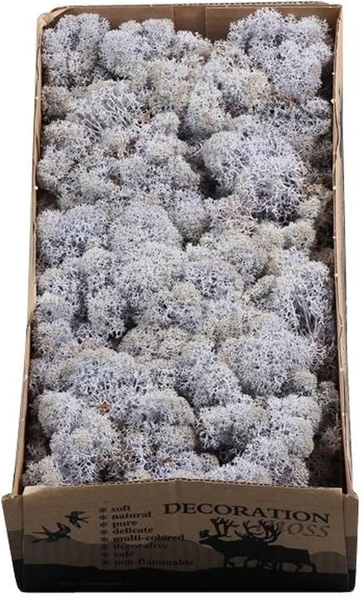 Flowerbox Box of Icelandic moss lavender-blue - 500g - ShopVlot