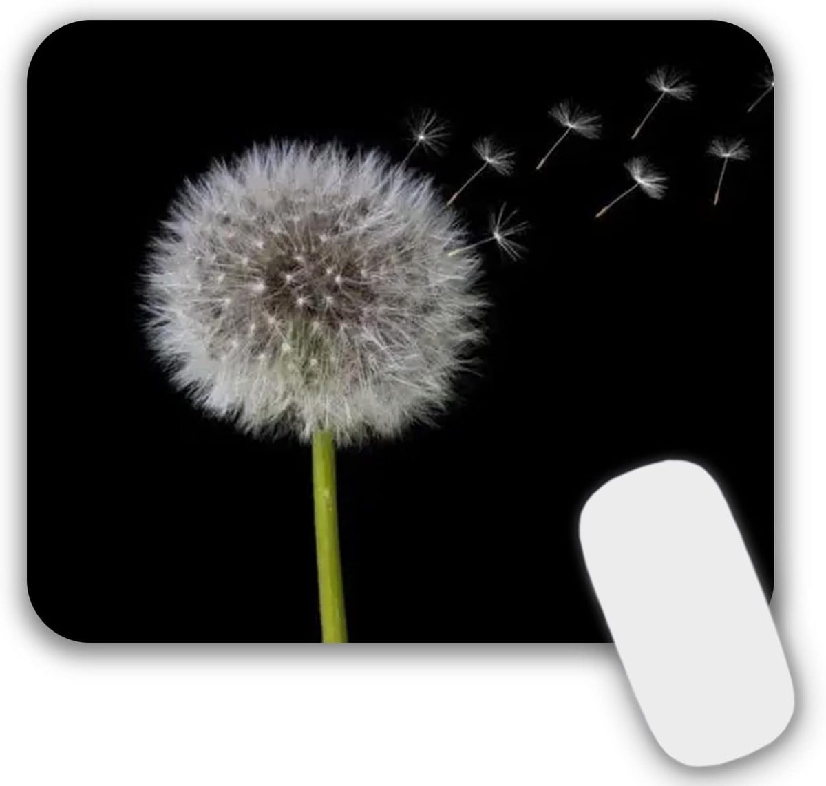 Kleine Muismat met Motief 24 x 20 x 0,3 cm - Zwarte Antislip Muismat voor PC en Laptop, Ideaal voor Thuis en Kantoor