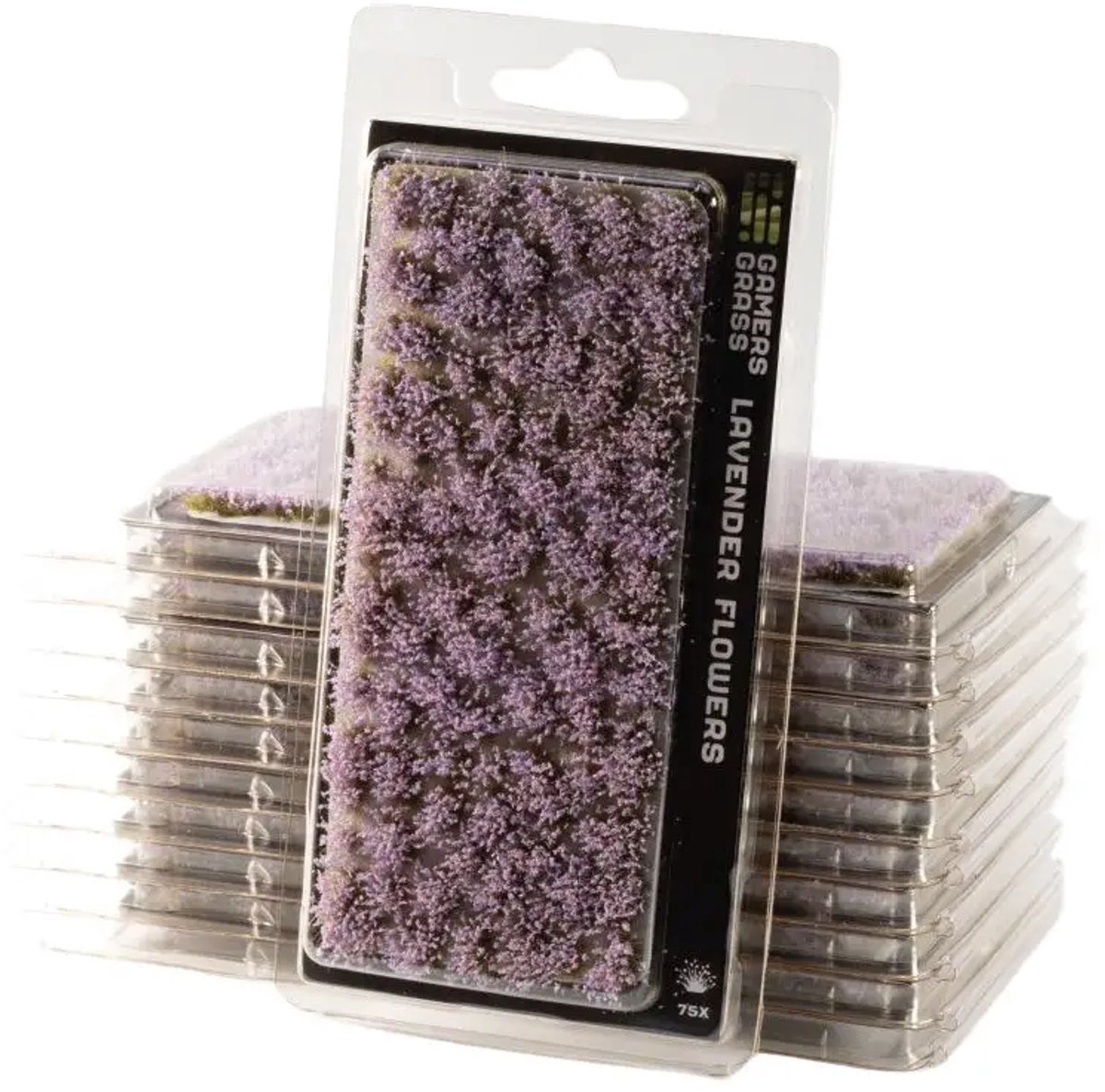 Lavender Flowers
