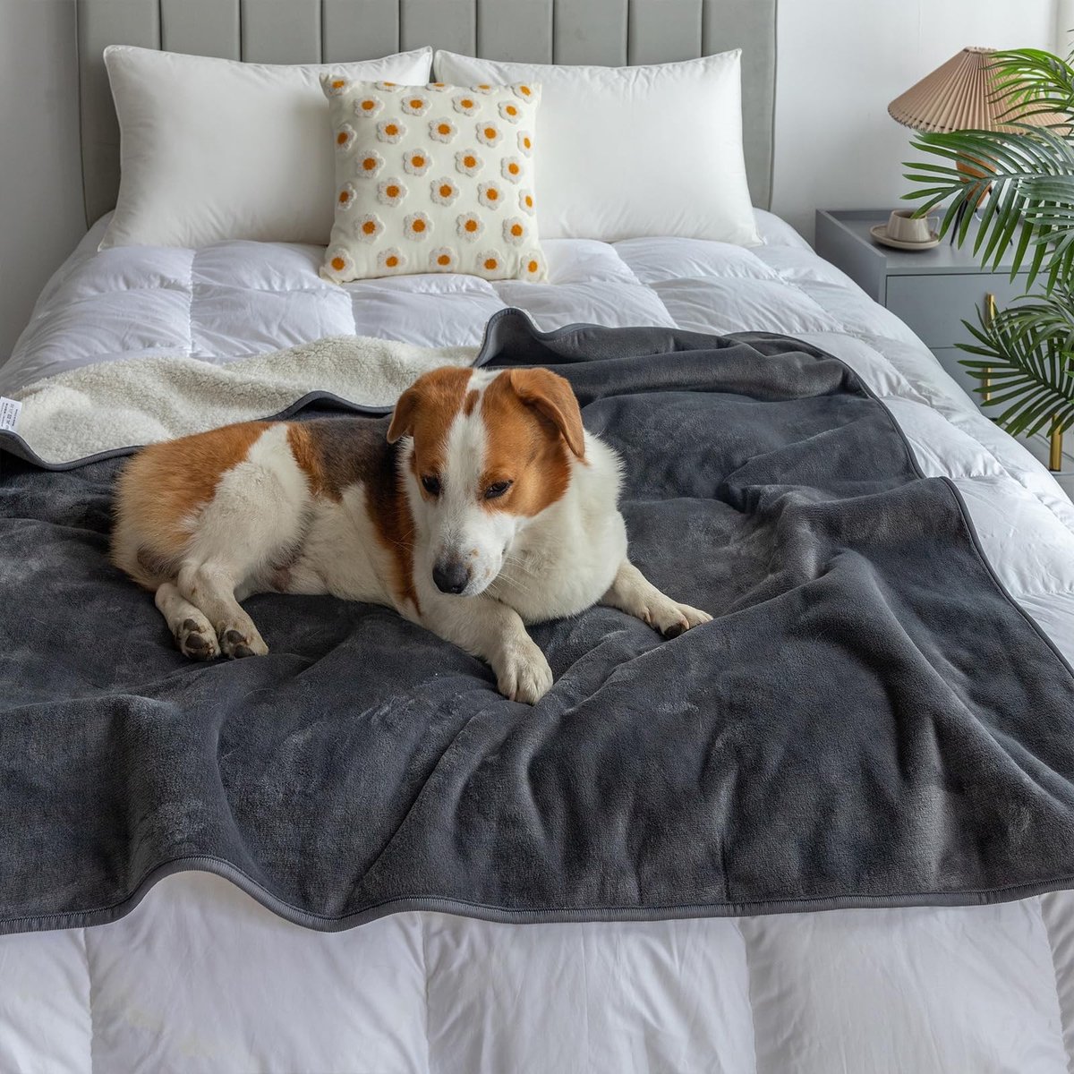 Dailygoods- Fleece Deken Waterdicht - Fleece Deken 150x200cm - Huisdier Deken - Pluche Plaid - Omkeerbare Deken - Comfortabel en Duurzaam - Huisdierdeken