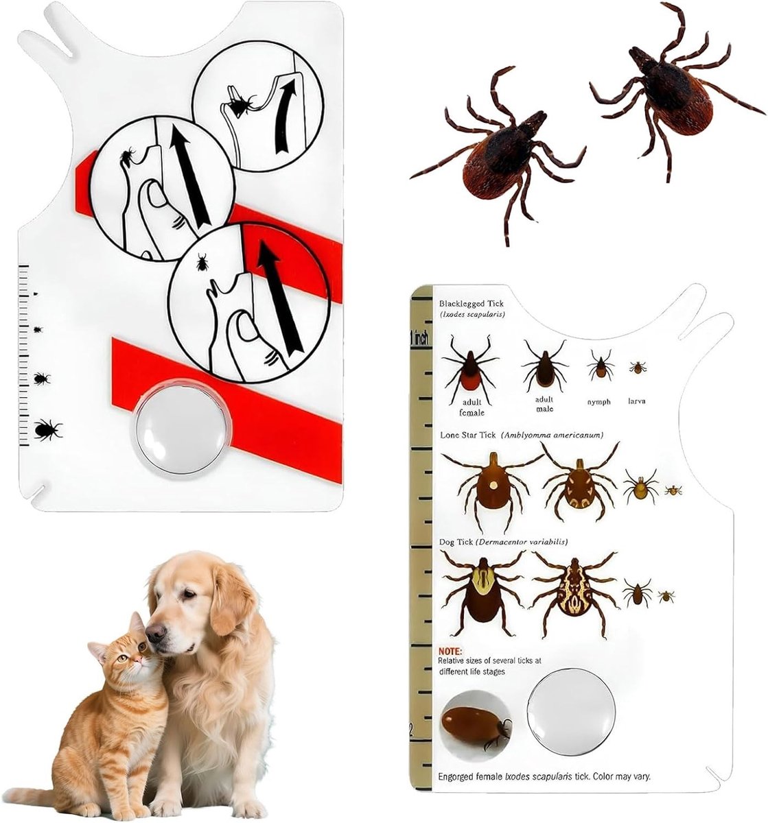 2 Stuks Tekenkaart met Loep voor Dieren en Mensen, Ideaal voor het Verwijderen van Teken, Compact en Draagbaar Accessoire voor Huisdieren en Tuinieren