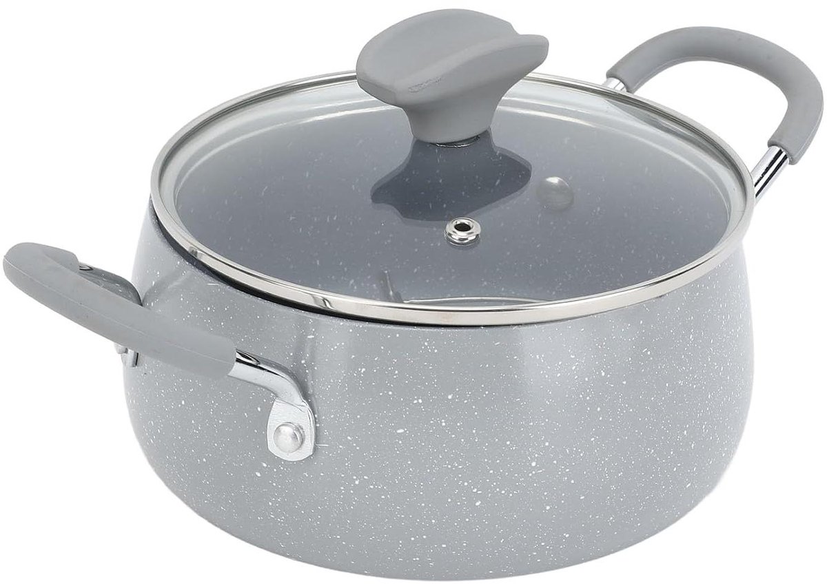 Japanse Frituurpan - Mini Frituurpan - Thuis Frituren - Met Deksel en Rek - 910g Capaciteit - Zilver