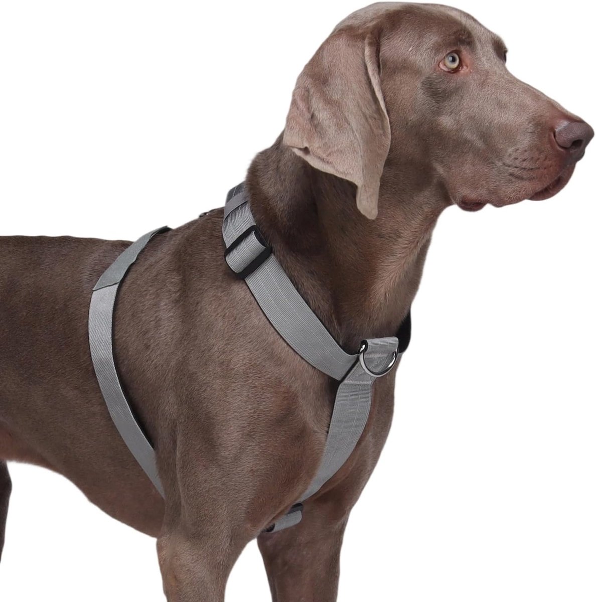 Hondenharnas voor Grote Honden, No Pull Hondentuig Verstelbaar Ademend voor Middelgrote en Grote Honden, Stevig Tactisch Harnas voor Buitentraining en Wandelen