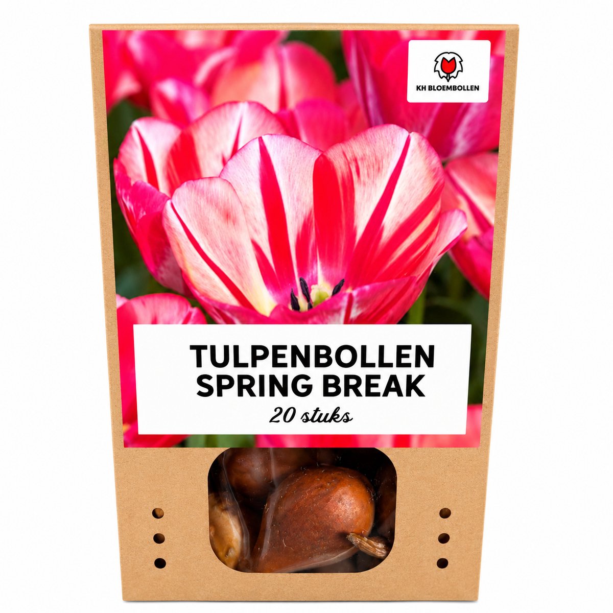 Tulpenbollen Spring Break – 20 Stuks | KH Bloembollen® | Rood-Oranje Tulp – Vurig, Energiek & Opvallend – Voor Tuin of Pot – Maat 11/12 – Vers van de Teler