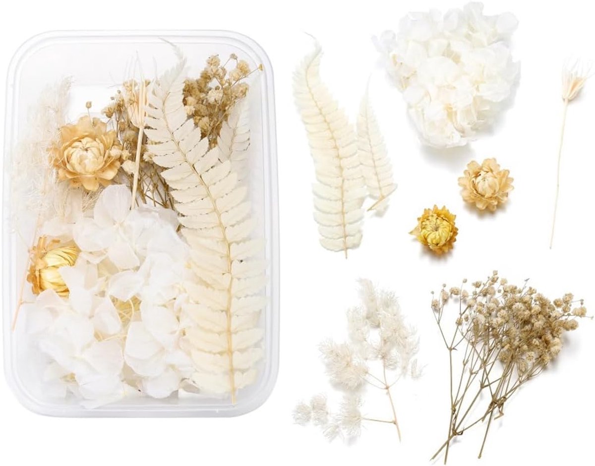 Gedroogde bloemen set 15x10 cm - Natuurlijke bloemen - Voor DIY sieraden en decoratie - Creatieve knutselmaterialen - ShopVlot