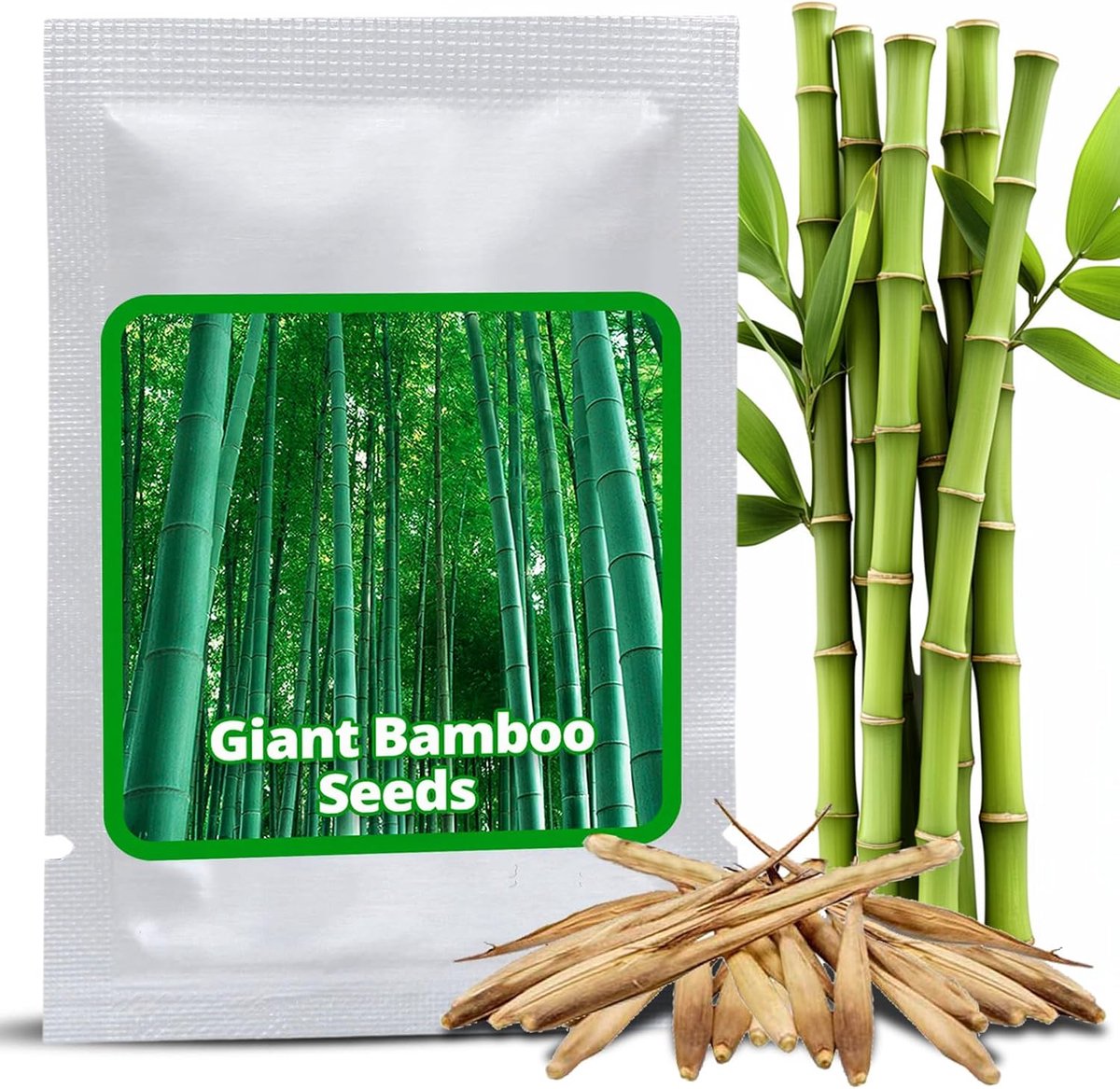 Bamboe zaden 60 stuks - reusachtige Moso bamboe - snelgroeiend - ideale privacy voor de tuin - ShopVlot