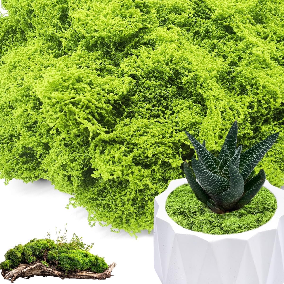 100 g gestabiliseerde mos, nepmos voor decoratie, synthetische mos, perfect voor doe-het-zelf mosschilderijen, moswanden, aquarium en miniatuurlandschappen (100 g)