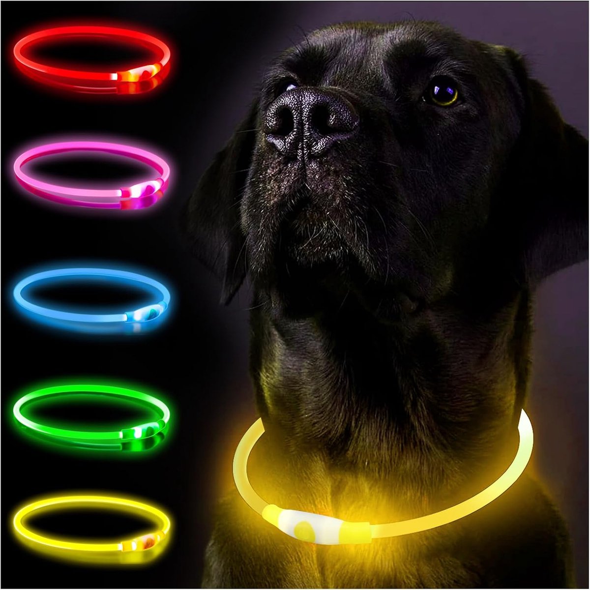 Lichthalsband voor honden, oplichtend, oplaadbaar, led-halsband voor honden, instelbare maat, lichtmodi, veiligheid voor hond
