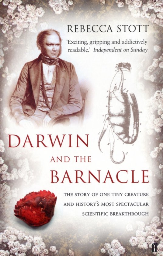 Darwin And The Barnacle - cover