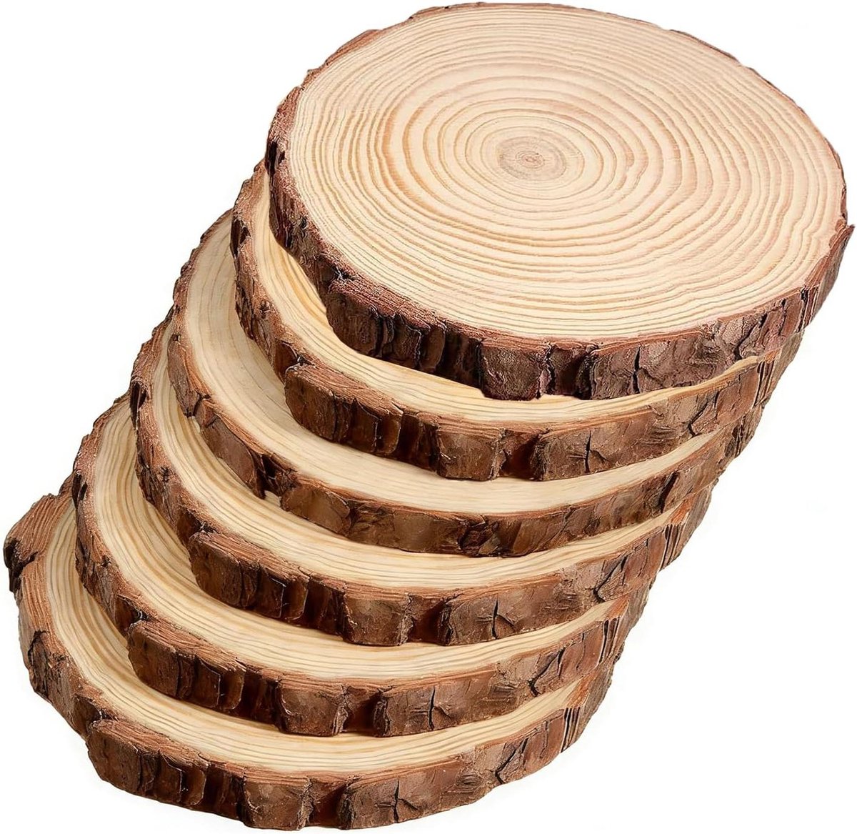 Houten Schijven - Boom Schijven - Creatief Knutselen - Natuurlijke Schors - 6 stuks 20-23cm - Naturel
