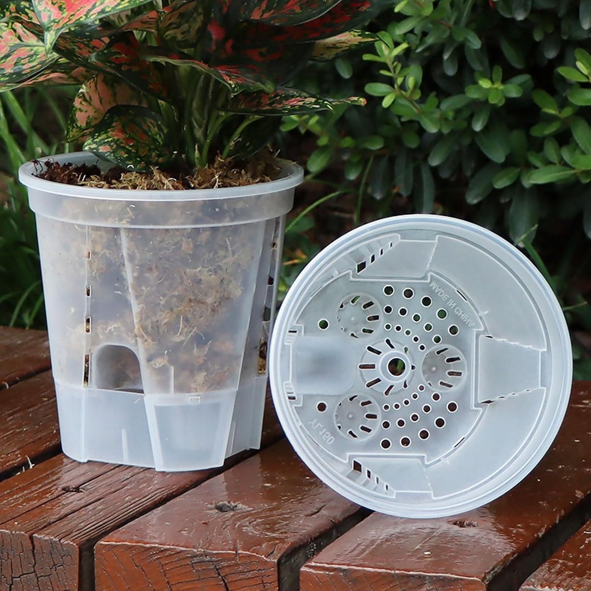 5 stuks- plastic bloempot- Zelfwaterende bloempot - Plantenpot - Zaailingpot - Bloempotcontainer - Transparant - 12*8,5*14 cm - Met uitneembaar waterreservoir - Goede ventilatie -Bevordert een gezonde wortelgroei - Geschikt voor continue watertoevoer — cadeau in Cadeau-ideeën - foto 4