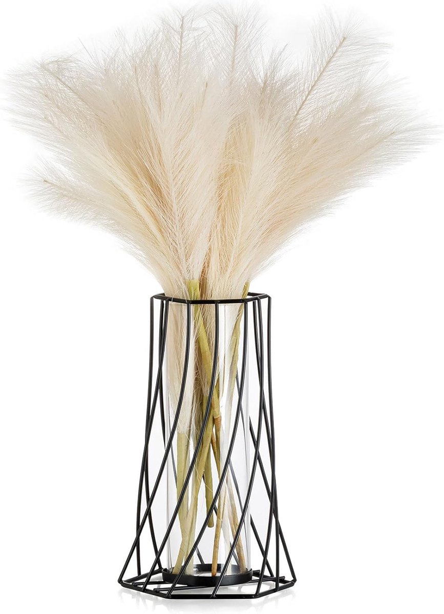 SnelShoppen - Moderne Zwarte Metaal en Glas Vaas voor Bloemen - Geometrische Tulpenvaas voor Pampasgras - Decoratieve Bud Vaas voor Woonkamer, Eetkame