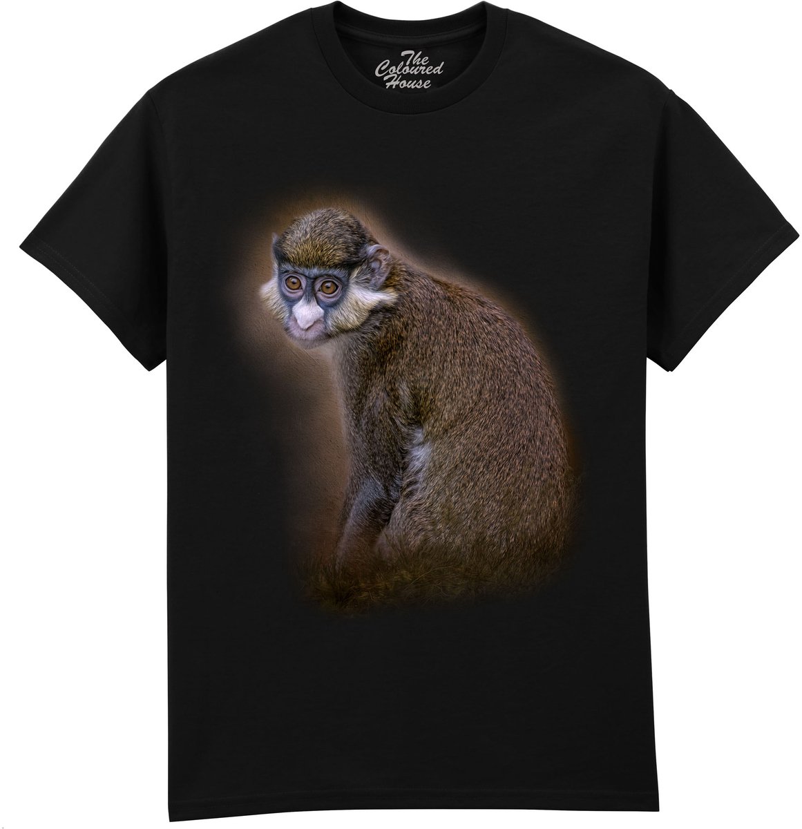 Aap Clever Eyes The Coloured House T-shirt L