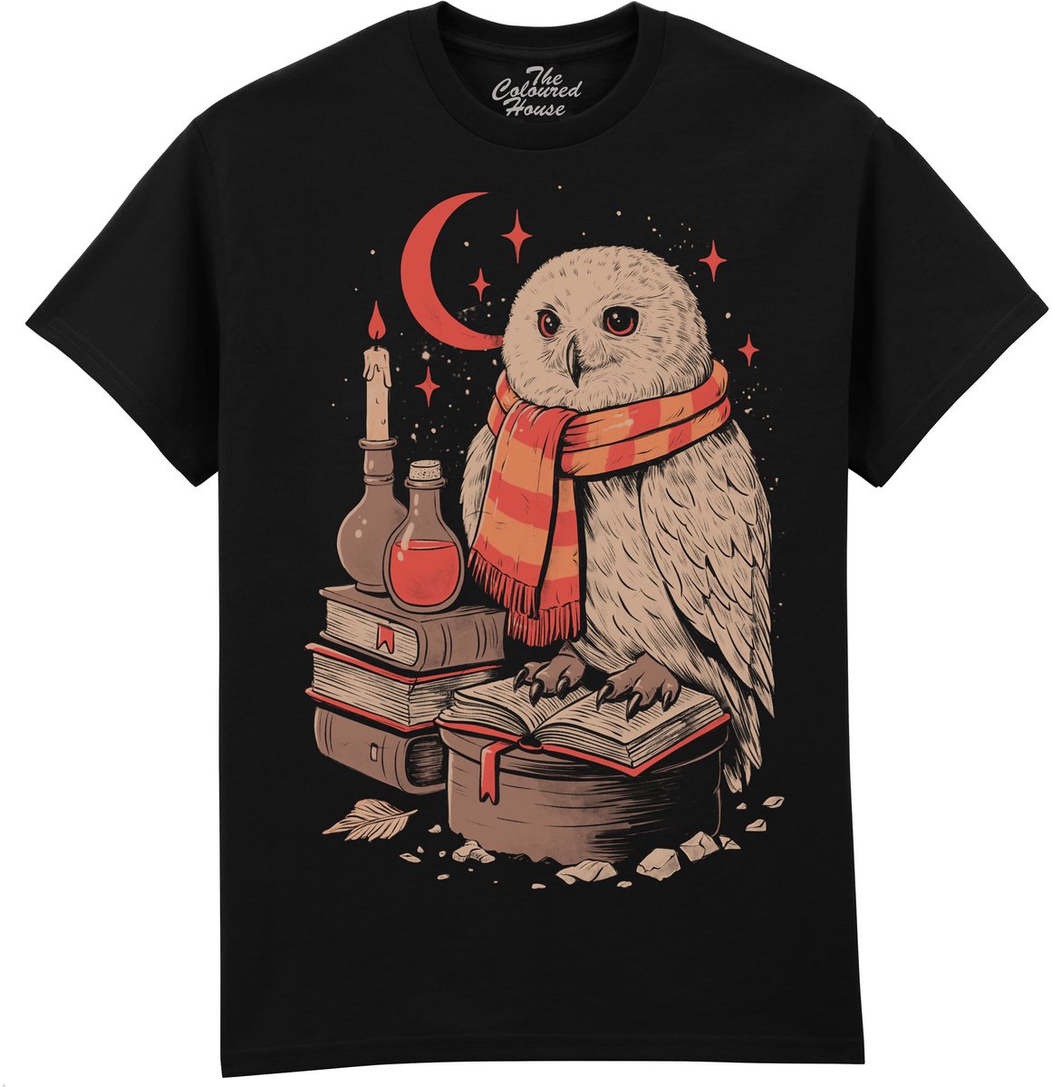 Uil Mystical Owl The Coloured House T-shirt 5XL