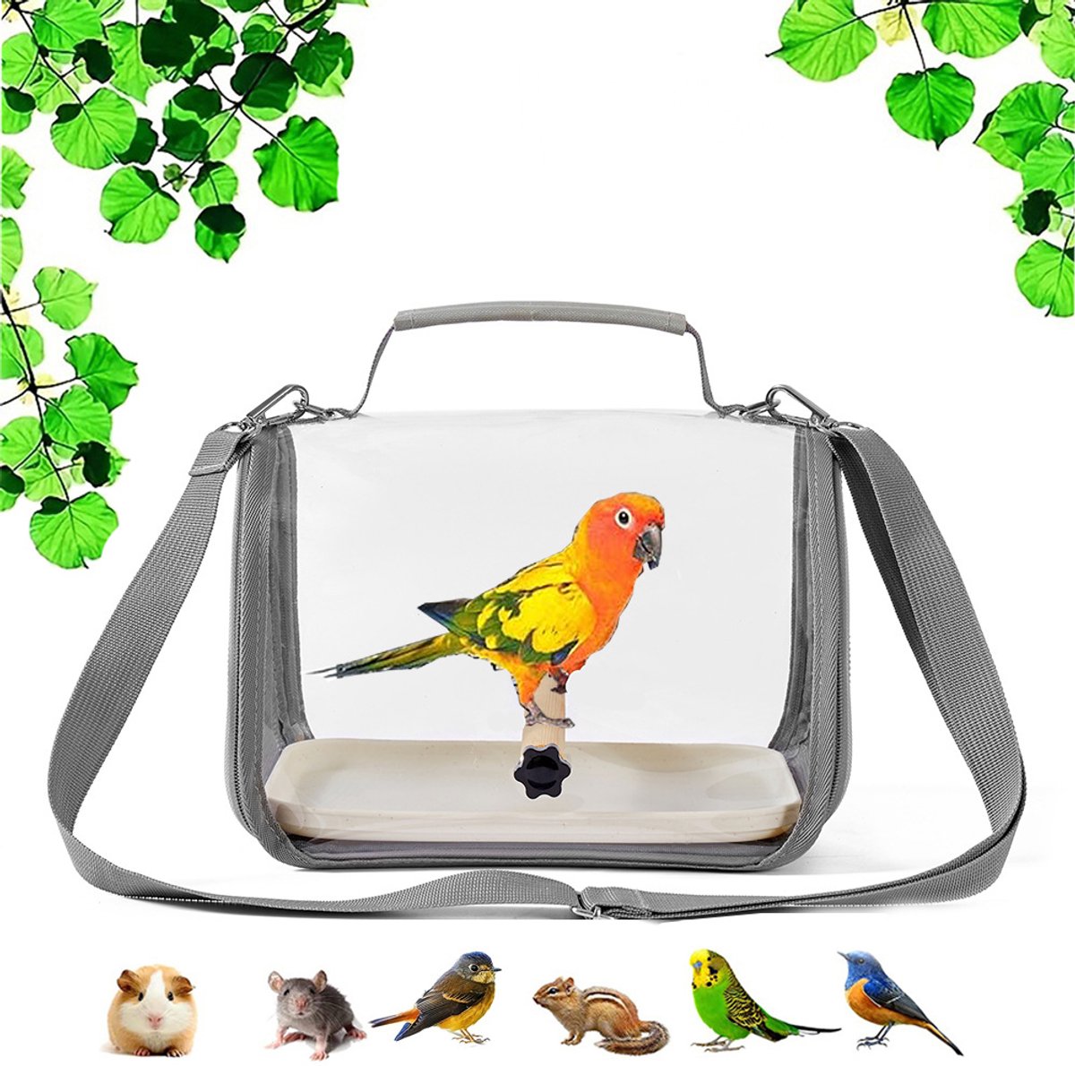 Reismand voor papegaaien – Reiskooi voor kleine vogels – Transparante transportmand – Inclusief zitstok – Geschikt voor diverse vogels en hagedissen – Grijs
