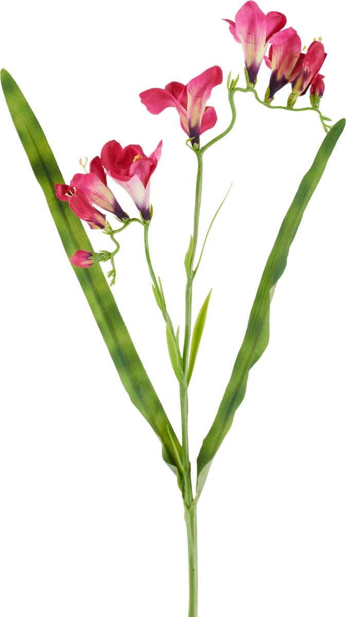 Easyplants | Kunstbloem Freesia 56 cm fuchsia | Zijde | Nepbloemen | fuchsia | Onderhoudsvrij | Kant-en-klaar