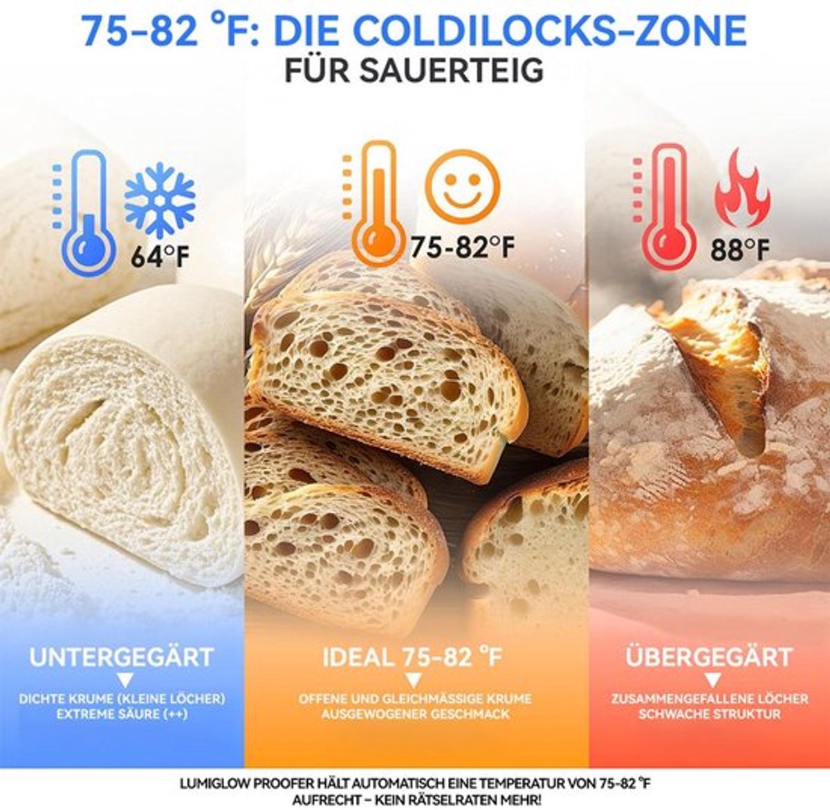Brooddeeg fermenteerkast, fermentatietijd 12 uur, digitale temperatuurregeling, is de ideale keuze voor thuisbakken