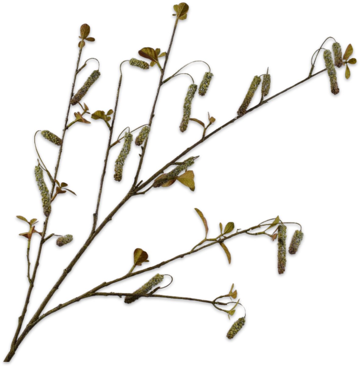 Silk-ka Kunsttak - alnus - groen - H113 cm