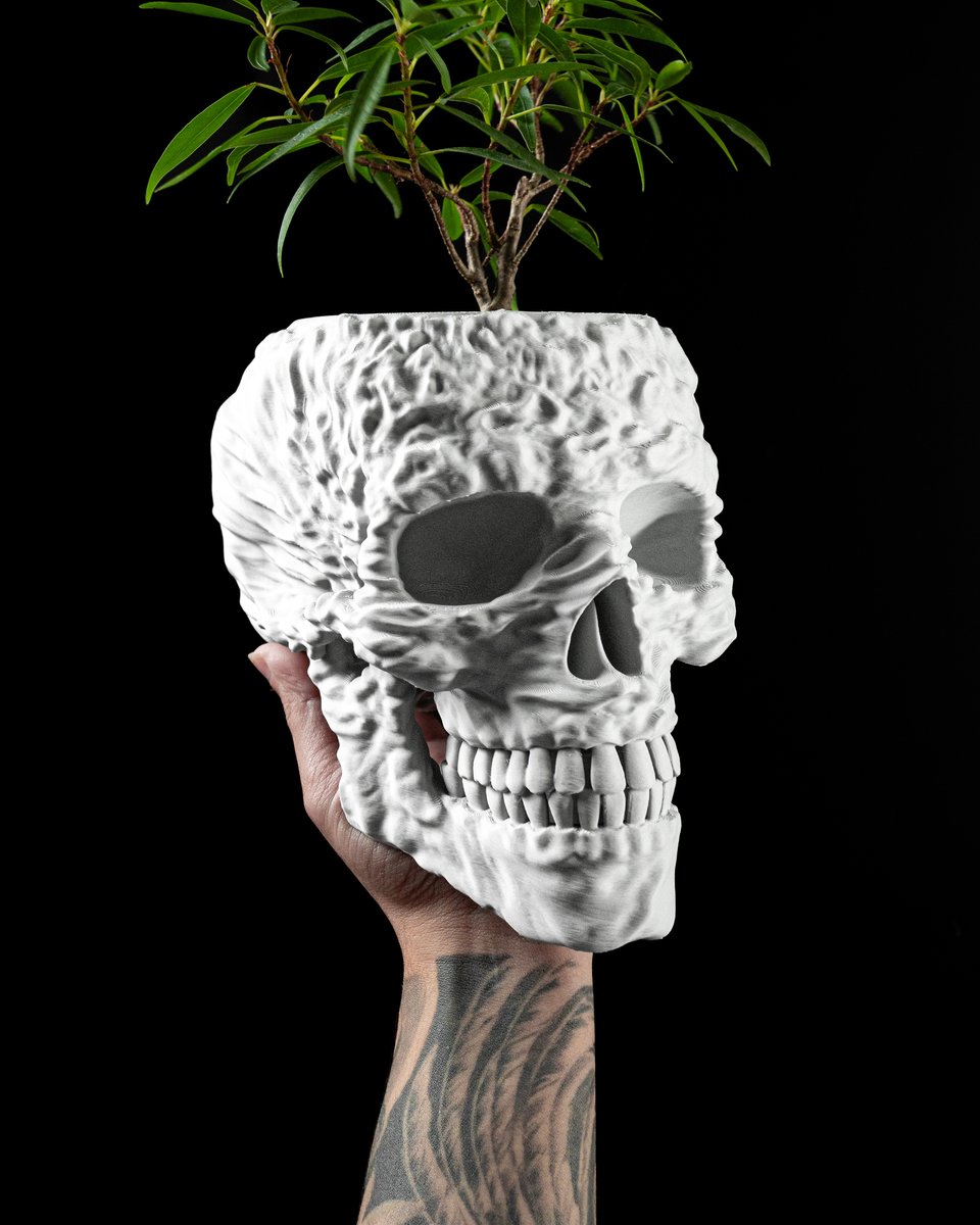 Skushy Skull Bloempot - Moderne Designpot voor Kamerplanten - Sculpturale Plantenpot voor Woonkamer en Kantoor - Premium Woondecoratie