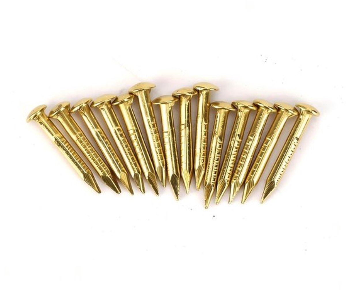 Ronde Kop Brad - 100 Stuks - Messing Spijkers - Meubelscharnier Hardware - Houten Huisdecoratie - 4 Maatopties (10mm/15mm/18mm/22mm)