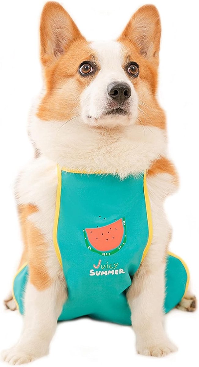 Waterdicht hondenkostuum met buikschort voor kleine en middelgrote honden, bedrukt met fruitdesign, maat M (40 cm)
