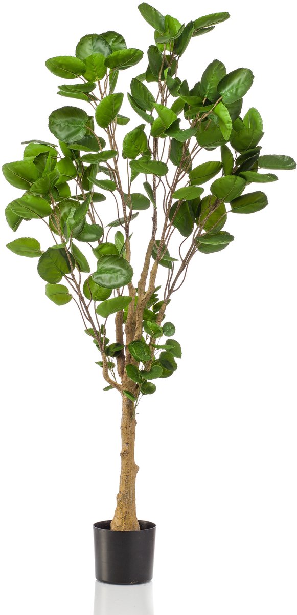 Emerald Kunstboom Polyscias 150cm - Kunstplant voor binnen Groen