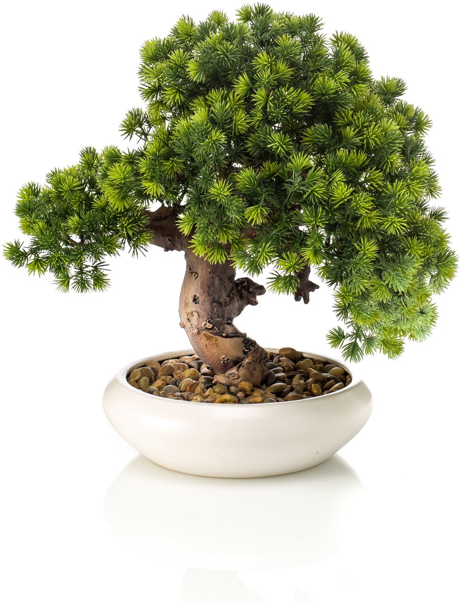 Emerald - Kunstplant Bonsai Japanse Ceder 37cm - Kunstplant voor binnen