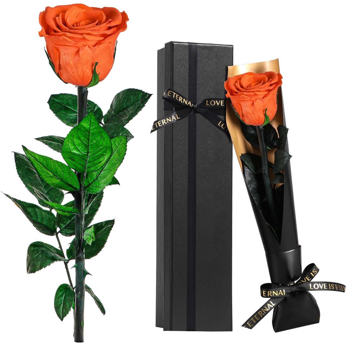 Solidchoice - Bewaarde Oranje Roos als Cadeau voor Vrouwen