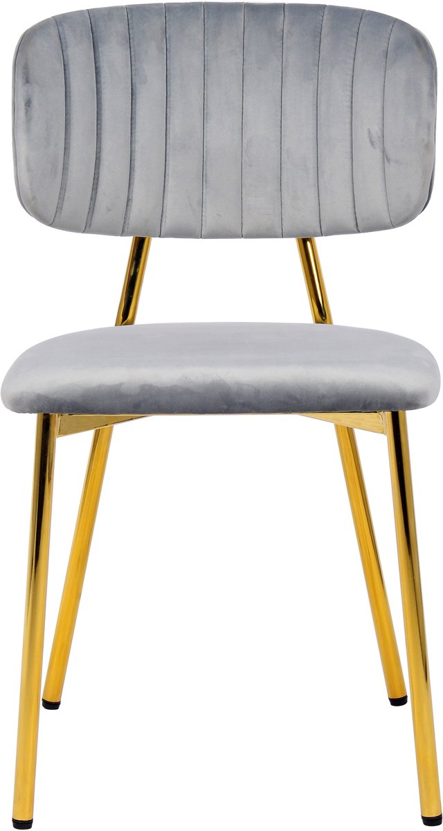 Padiro eetkamerstoelen set van 2 - grijs - fluweel - stalen onderstel - retro