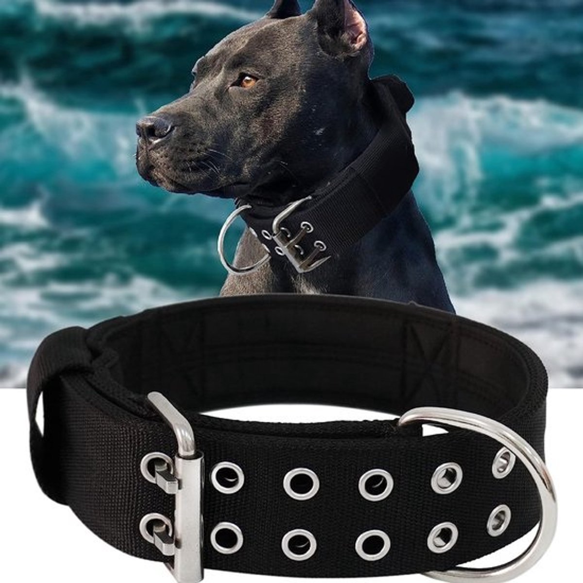 Extra Grote Honden Halsband - 5 cm Breed - Met Handvat - Kaki - Zacht Gewatteerd - 43-56 cm
