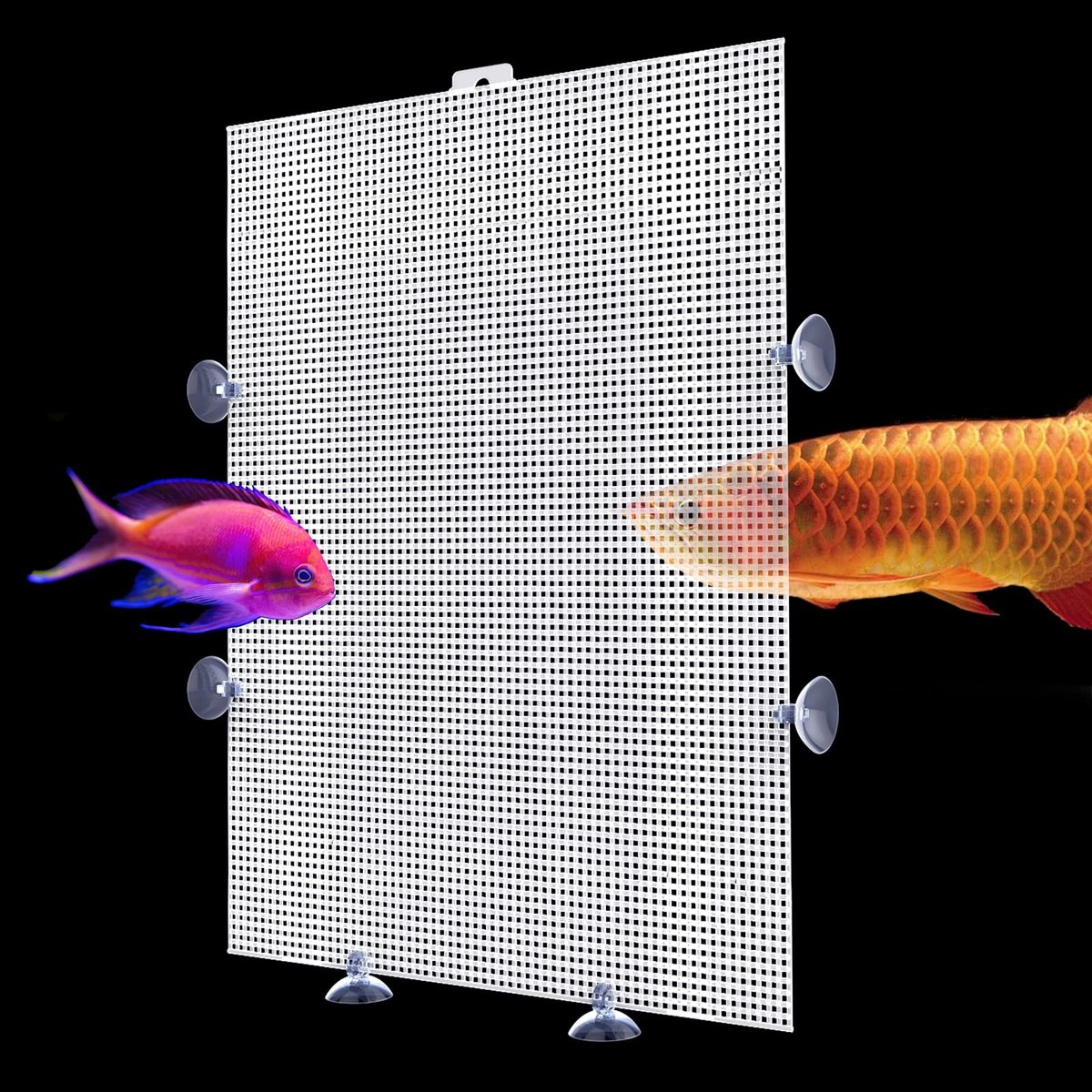 Elzusha - Set van 2 Aquarium Dividers van Plastic