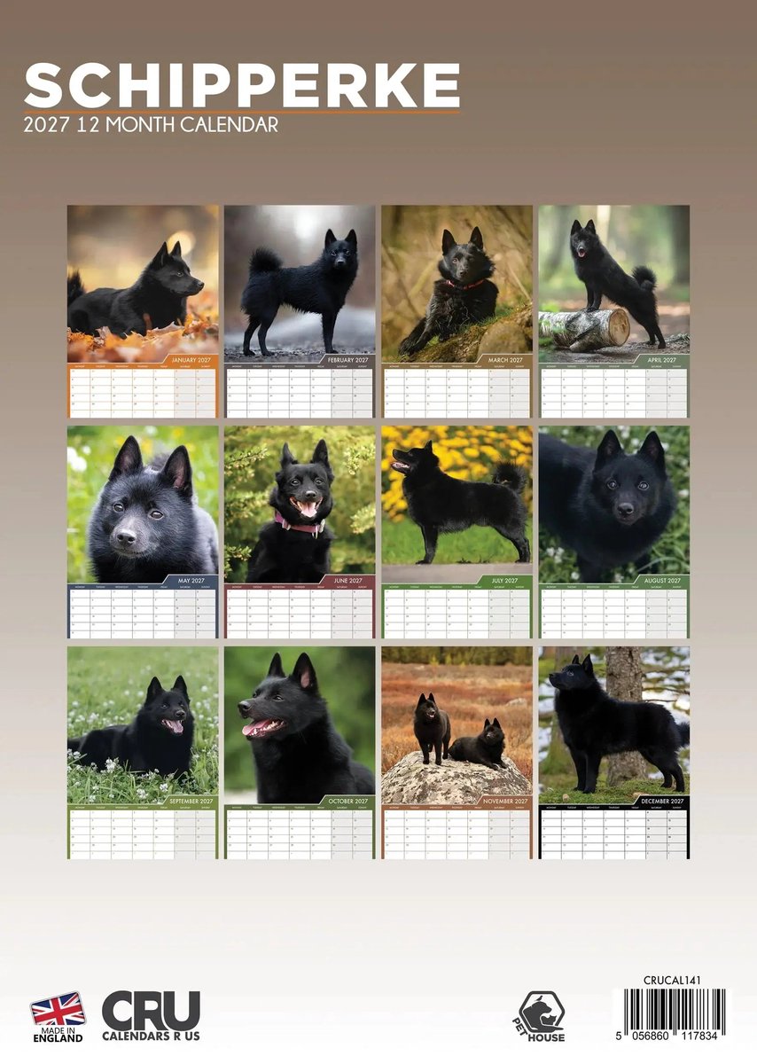 Schipperke A3 Kalender 2027