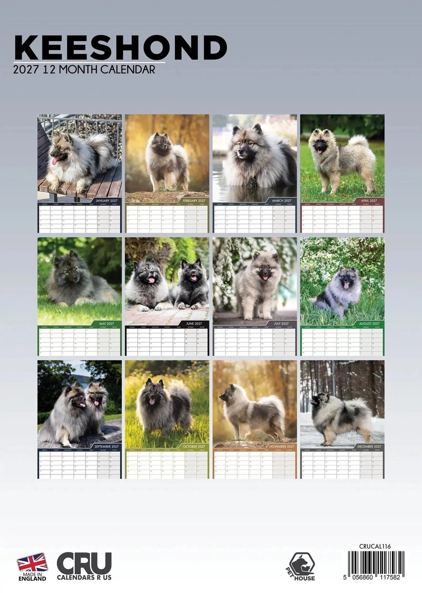 Keeshond A3 Kalender 2027