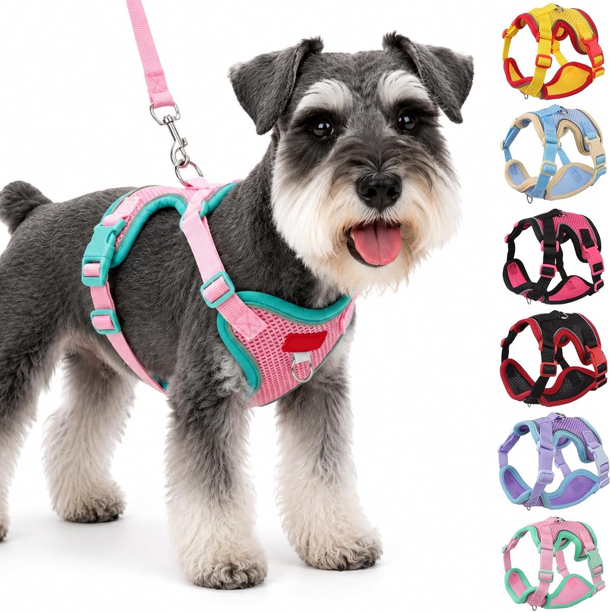 Hondentuig en Leash Set - Reflecterend en Ademend - Verstelbaar en Lichtgewicht - Geen Benauwdheid voor Honden - SnelShoppen